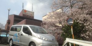 春爛漫！そしてニューフェイス・・・？