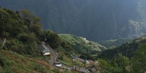 野山をかけ巡って