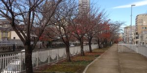 冬で～ござんす～♪