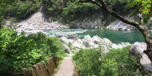 お散歩に行って吉野川の水に手をつけてみませんか？